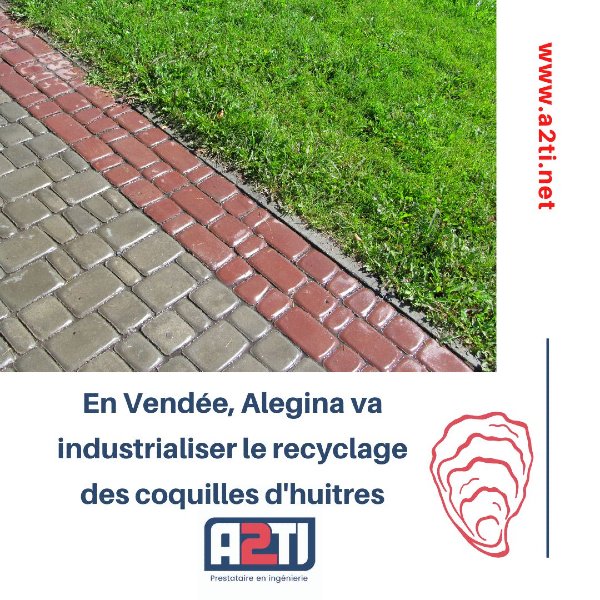 Alegina industrialise le recyclage